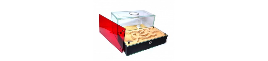 Formicariums / nests