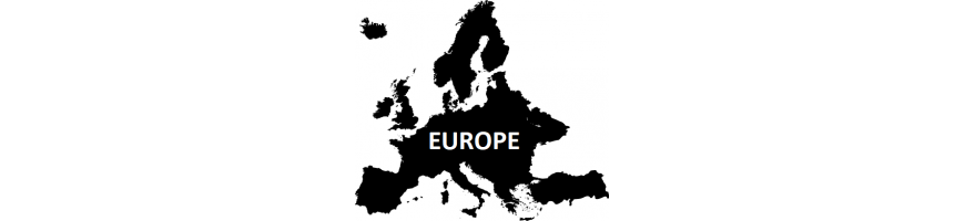 Ants from Europe